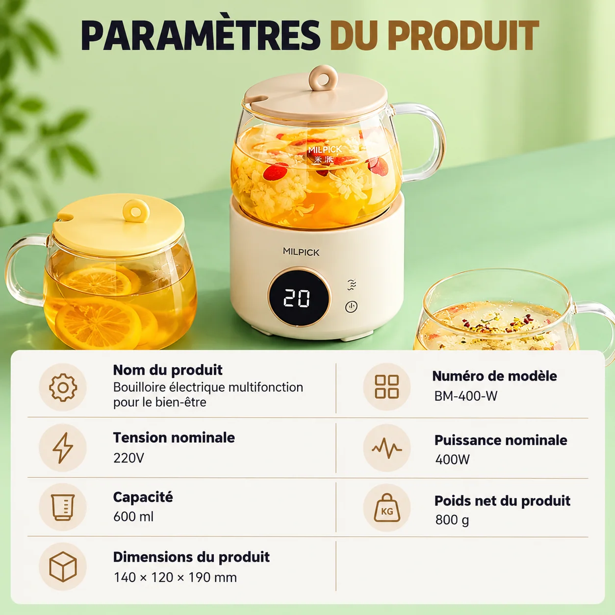 Caractéristiques de la bouilloire MILPICK 600 ml