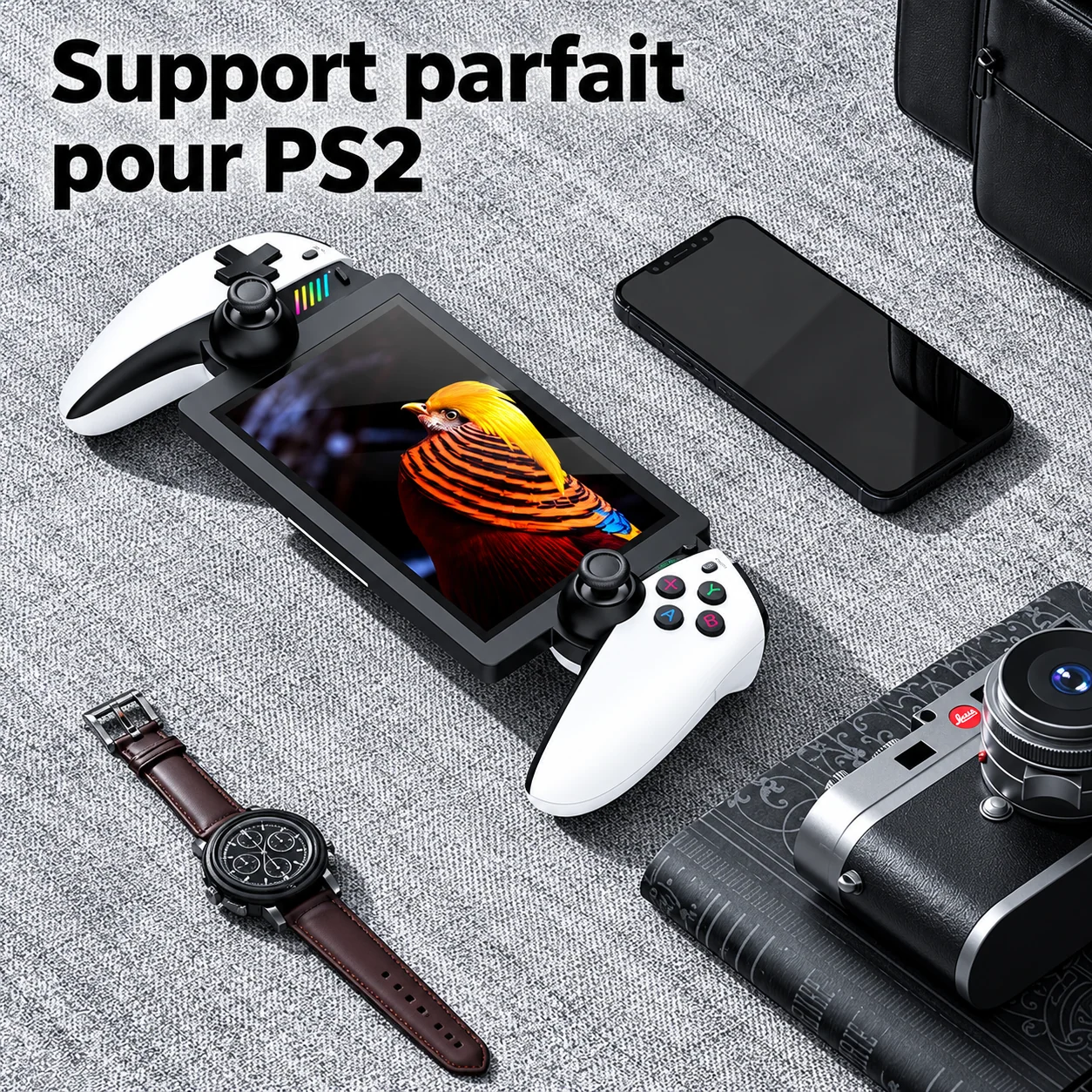 Illustration fournisseur avec mention PS2 ; compatibilité à confirmer