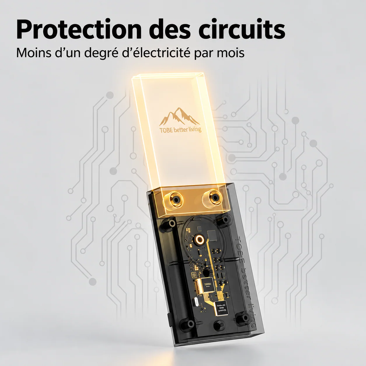 Illustration promotionnelle des circuits internes